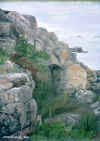 Bland klippor och skr. Hndelp. 34x42 cm, nyare.jpg (41194 byte)